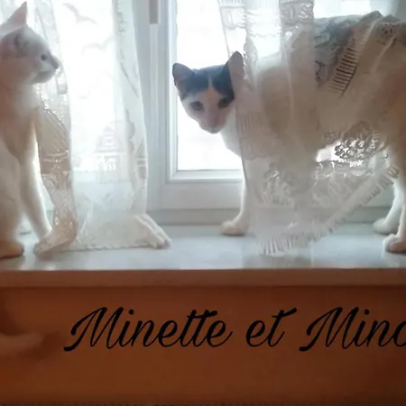 شقة Chez Sandrine Au Creux Chene *