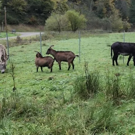 Chez Sandrine Au Creux Chene شقة