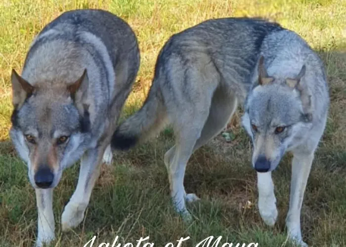 Chez Sandrine Au Creux Chene Rombach-le-Franc