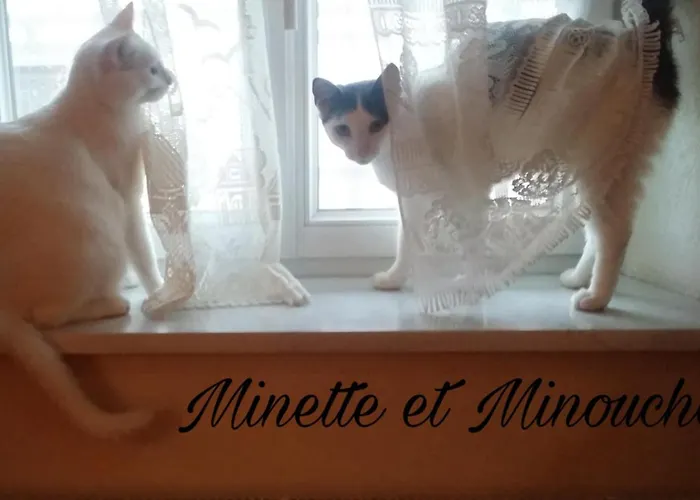 شقة Chez Sandrine Au Creux Chene *