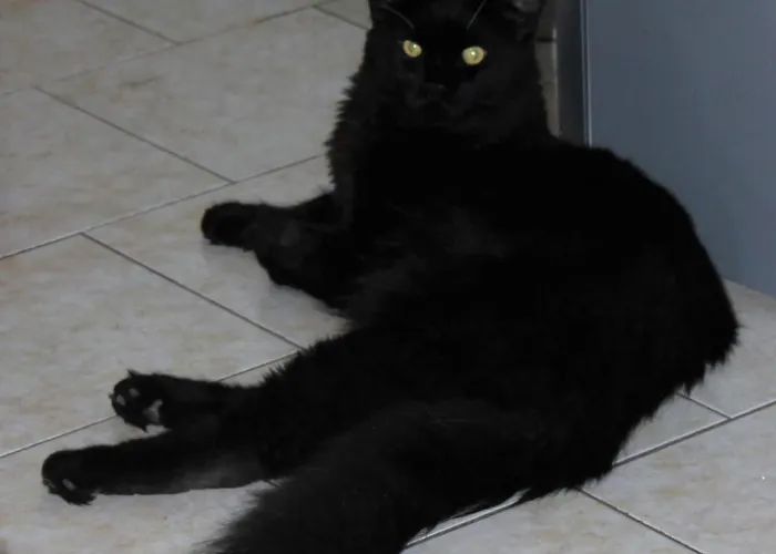 Chez Sandrine Au Creux Chene *