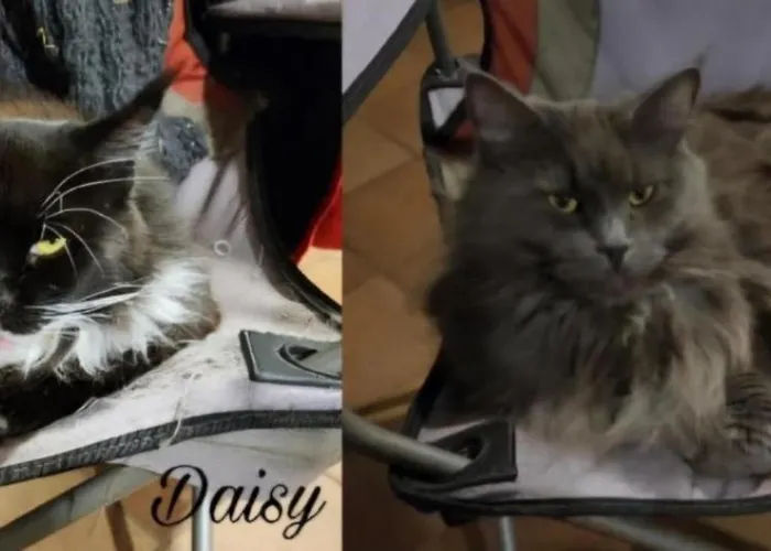 דירה Chez Sandrine Au Creux Chene *