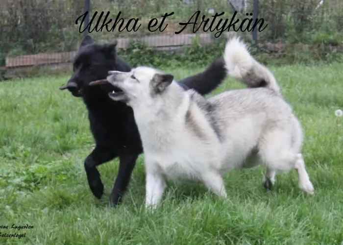 Chez Sandrine Au Creux Chene דירה Rombach-le-Franc