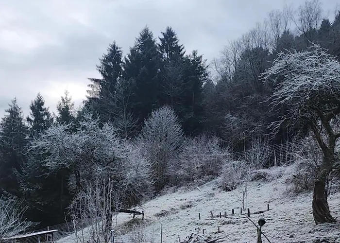 Chez Sandrine Au Creux Chene Rombach-le-Franc