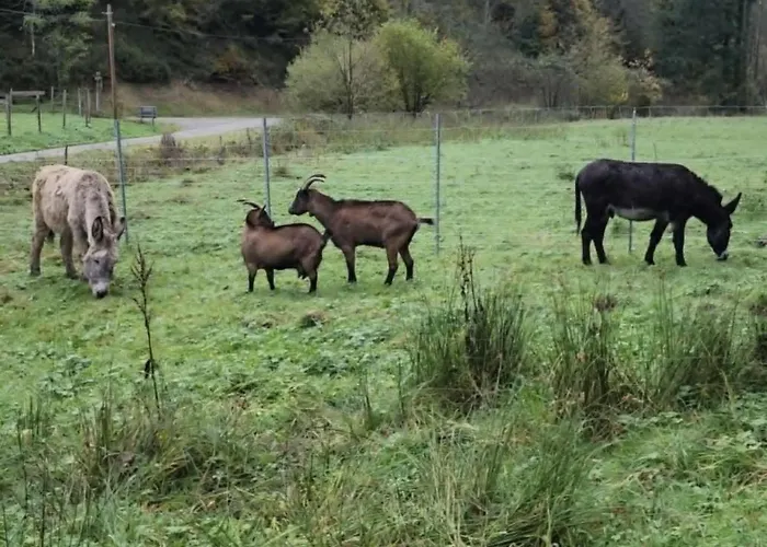 Chez Sandrine Au Creux Chene شقة