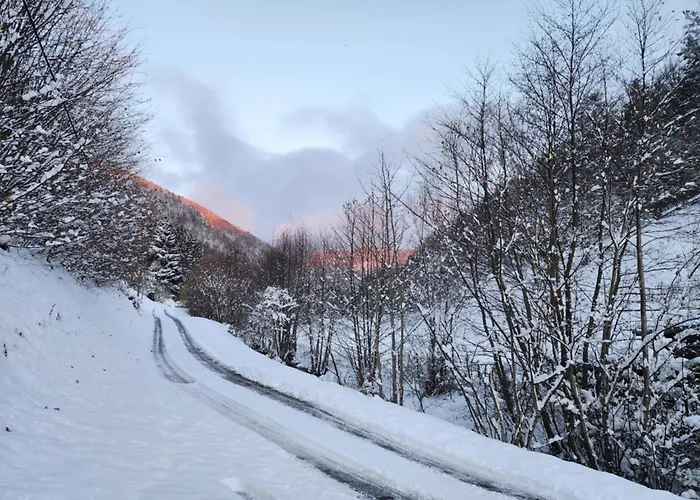 Chez Sandrine Au Creux Chene * Rombach-le-Franc