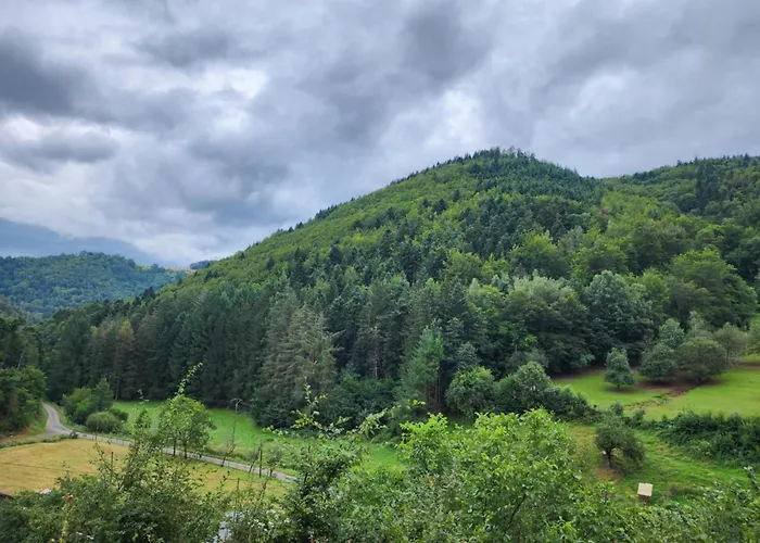 Chez Sandrine Au Creux Chene דירה Rombach-le-Franc