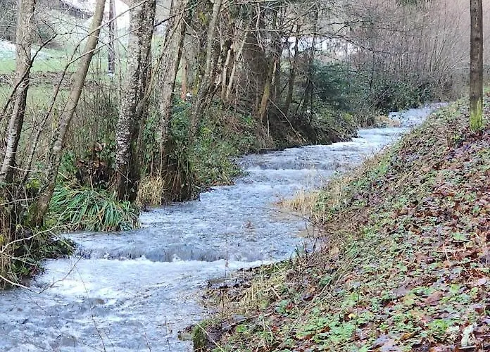 Chez Sandrine Au Creux Chene *